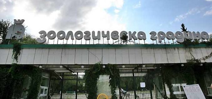 Искат затваряне на софийския зоопарк