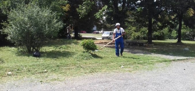 Стартира трето косене на тревните площи в „Надежда“