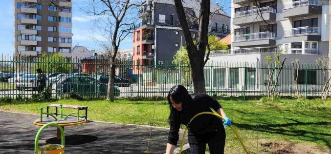 Засадиха 140 дървета в детски градини от „Надежда“ (СНИМКИ)