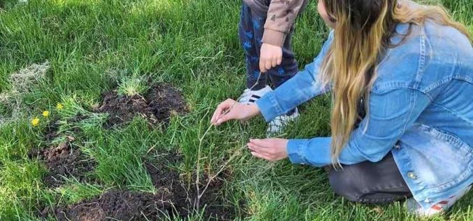 Хора от „Делиниан“  засадиха нови дръвчета в двора на 24. ДКЦ