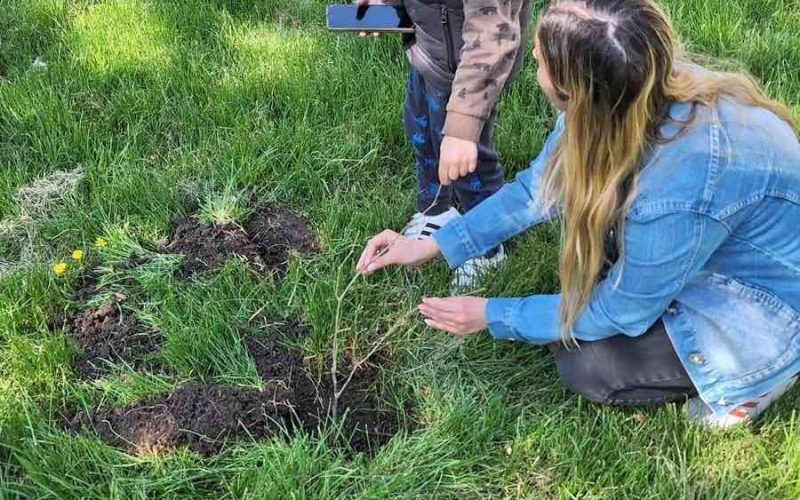 Хора от „Делиниан“  засадиха нови дръвчета в двора на 24. ДКЦ